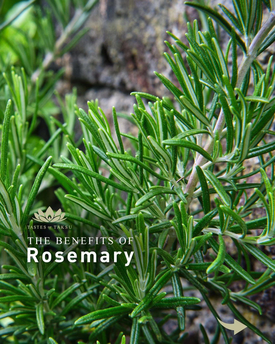 Did you know that Rosemary is more than just a delicious herb for cooking